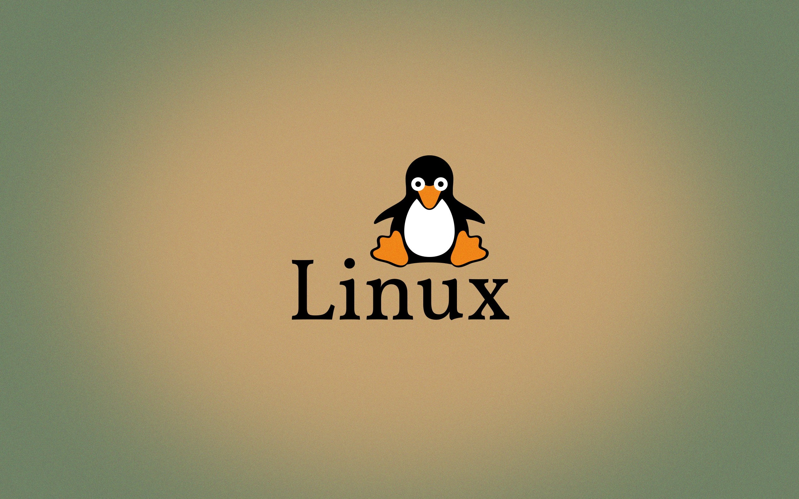 Linux磁盘分区